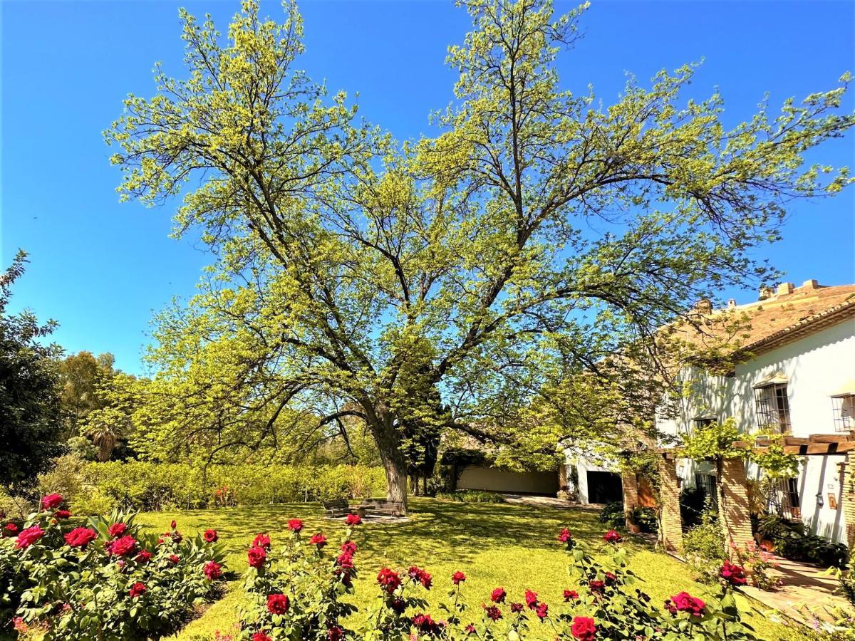Casa Santa Catalina Villa Alora Luaran gambar
